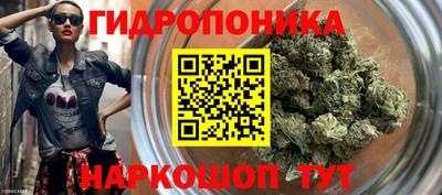 винт Берёзовский