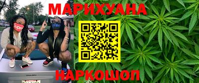 СК Бийск