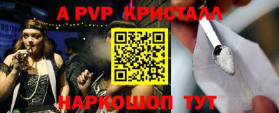 СК Бийск