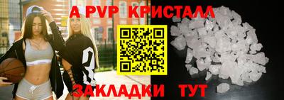 СК Бийск